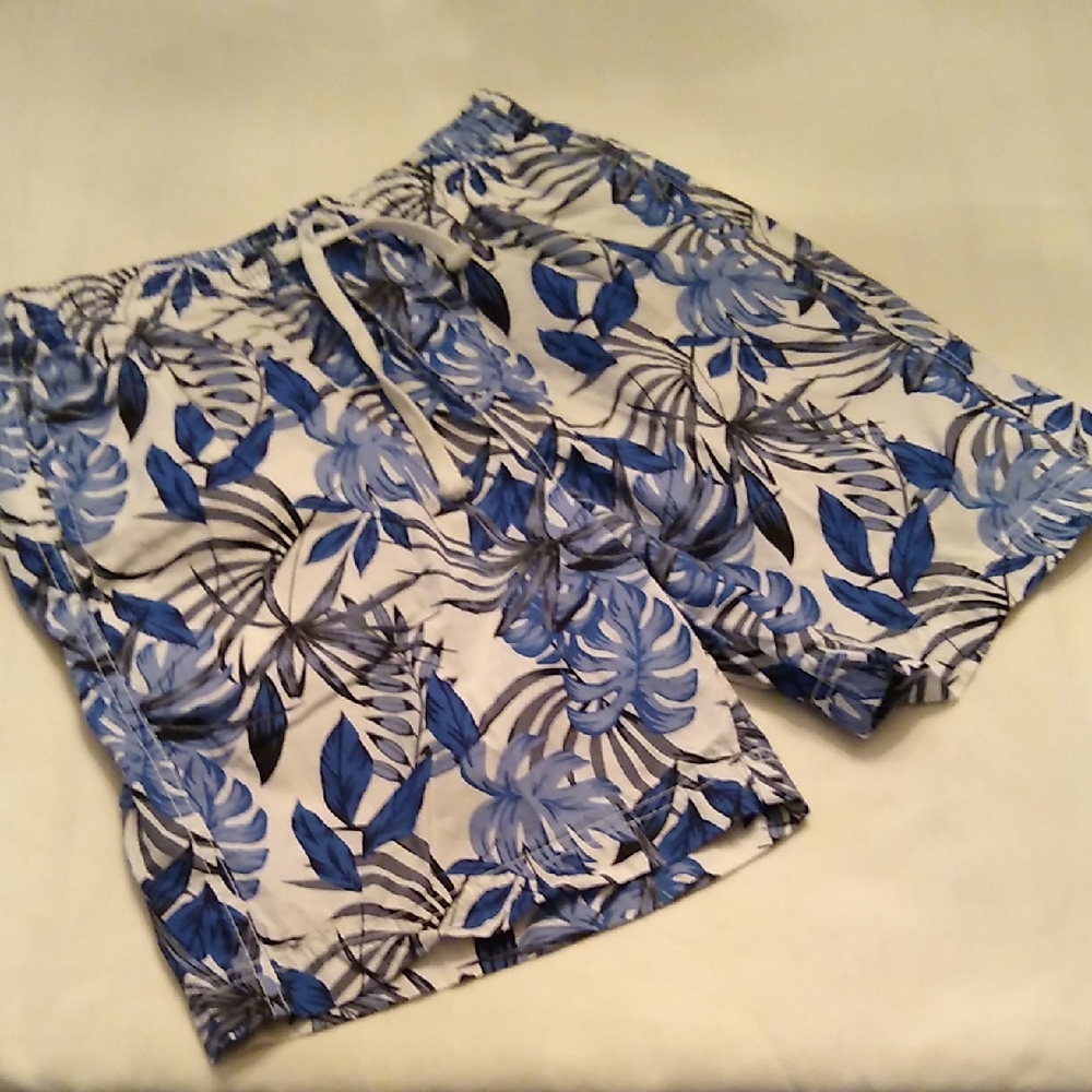 Free Planet Swim Shorts
